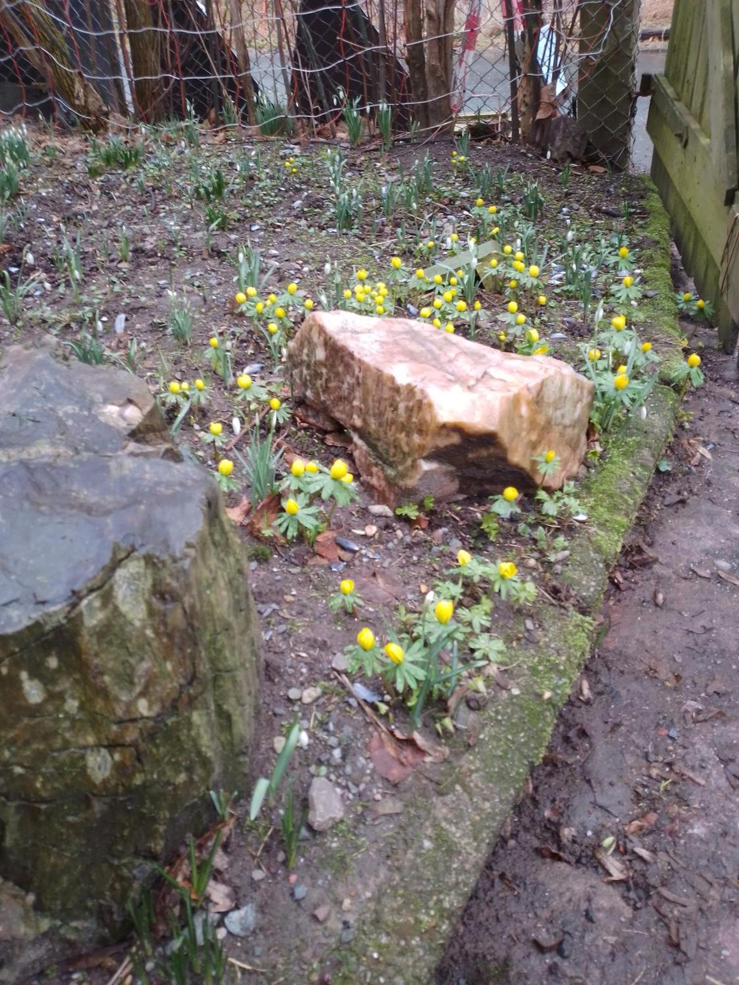 Ruhig Und Spartanisch Wohnen Im Denkmal Lichtenwalde Exterior photo